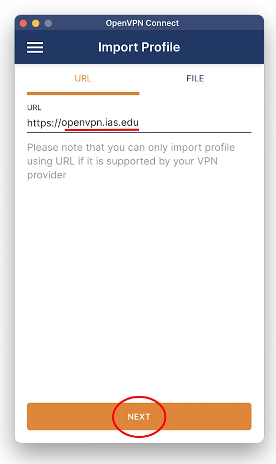 accessing the vpn