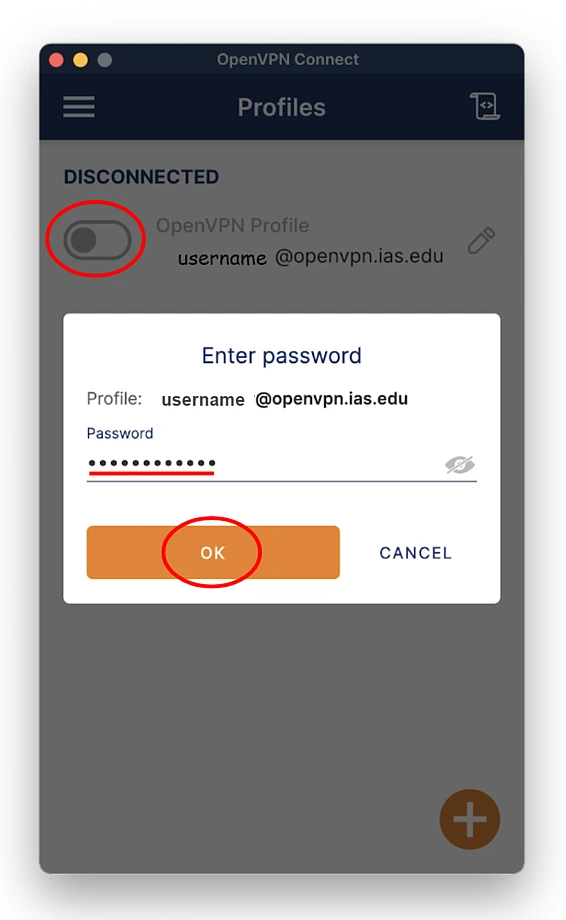 enter password
