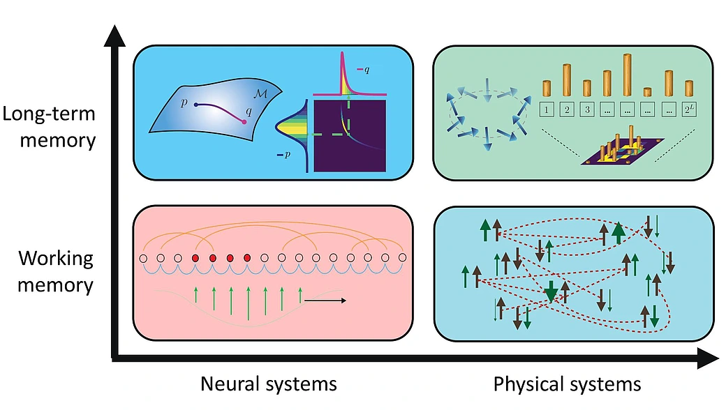 Weishun Zhong intelligence models