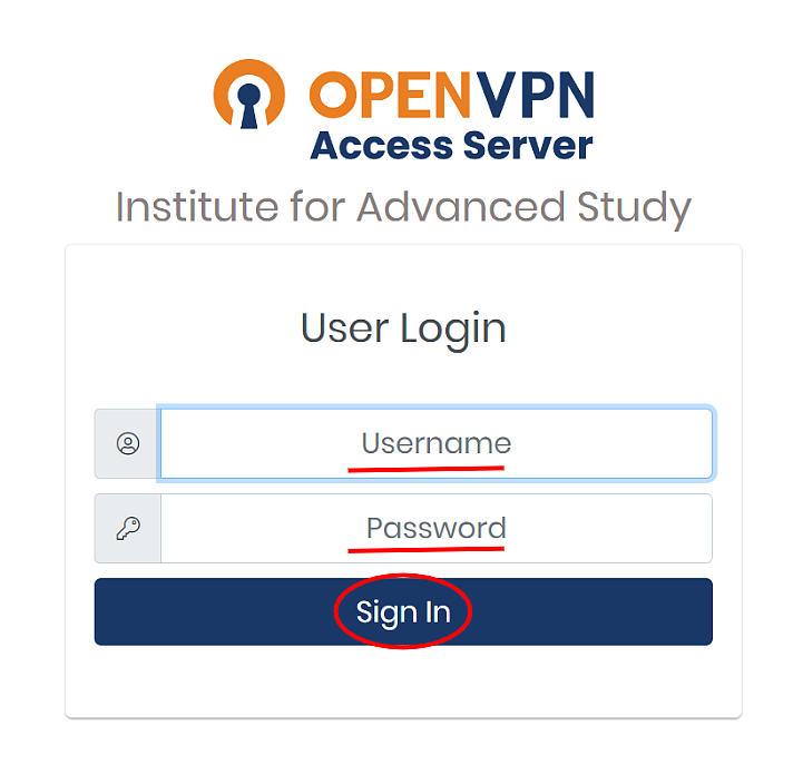 Windows OpenVPN login page