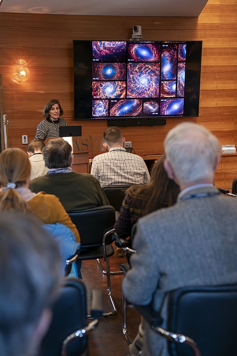 Sharon Meidt IAStrophysical Waves workshop