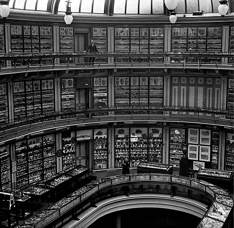 Museum of Practical Geology