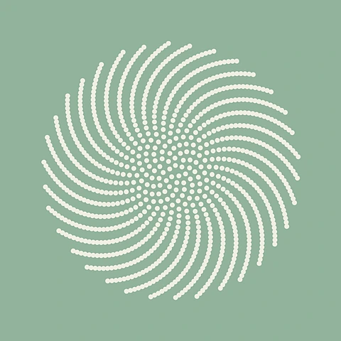Diverse Mathematics
