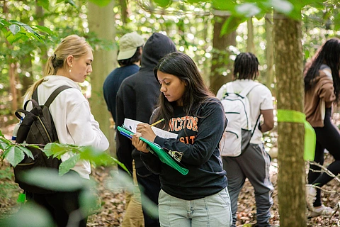 Princeton University students in IAS Woods