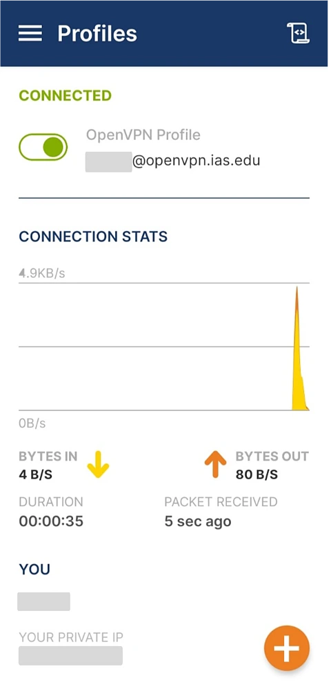 OpenVPN Turned On