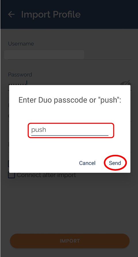 pop-up with text "Enter Duo passcode or 'push'"