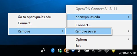 Context menu to remove OpenVPN profile.