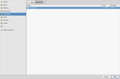 OpenVPN Profile download.