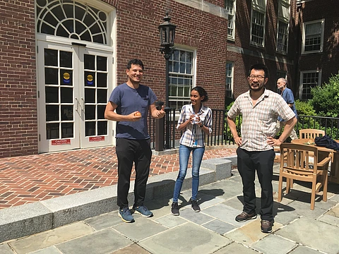 Summer Collaborator Sprung group